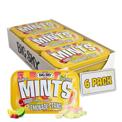 Big Sky front tin view showing lemon-mint branding and portable benefit