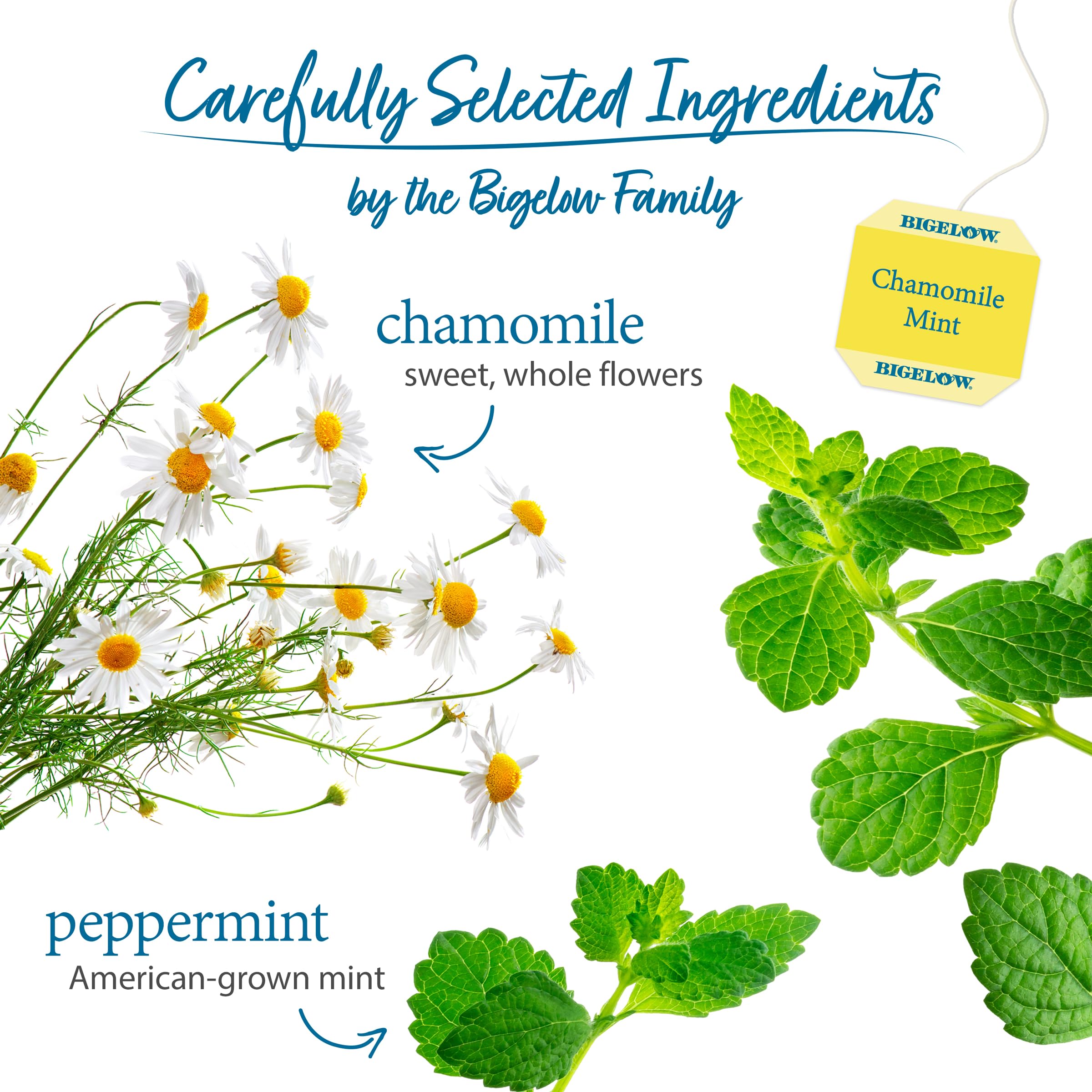 bigelow chamomile mint loose herb texture of chamomile and mint showing natural ingredients and aroma