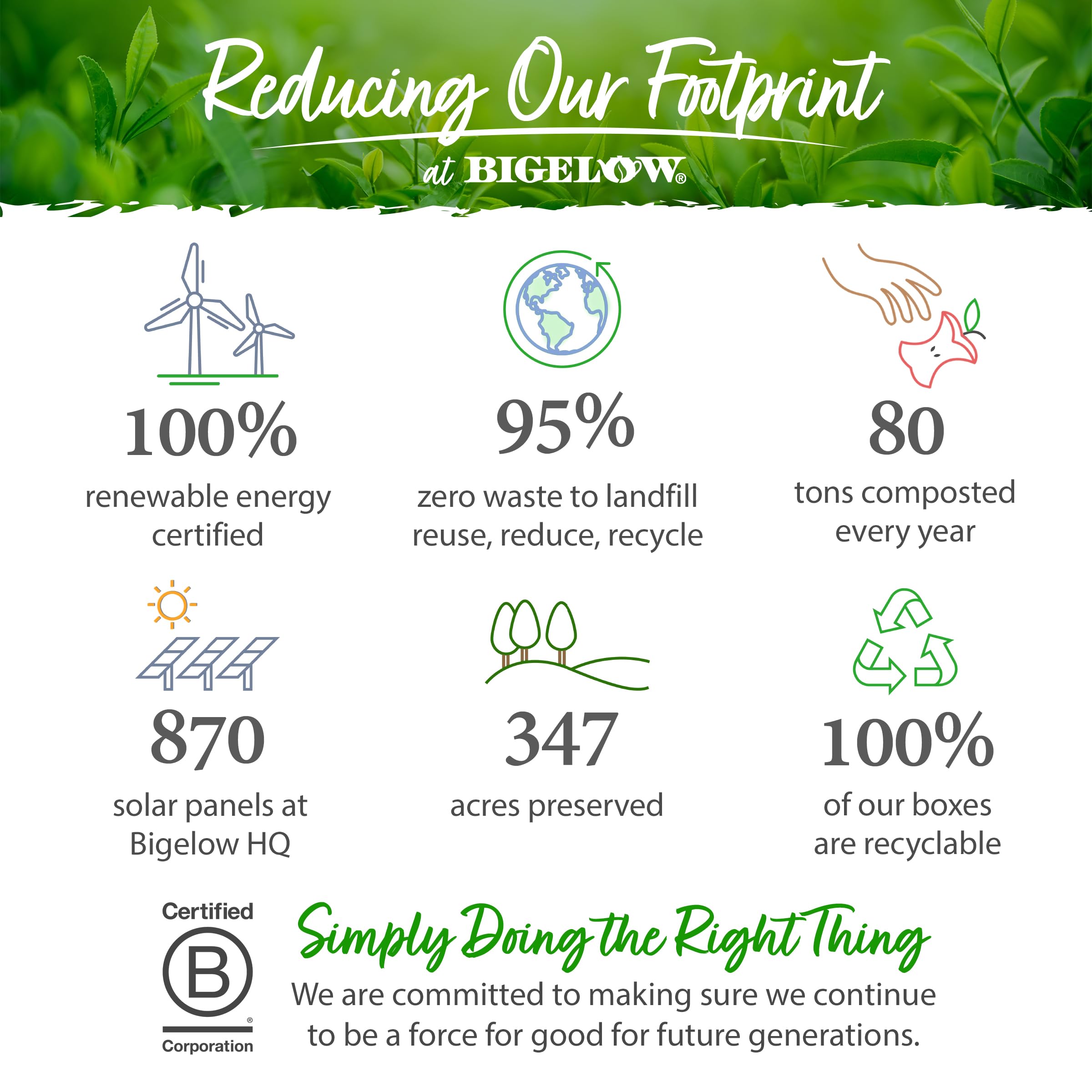 Bigelow box beside a ruler for size comparison and portion convenience