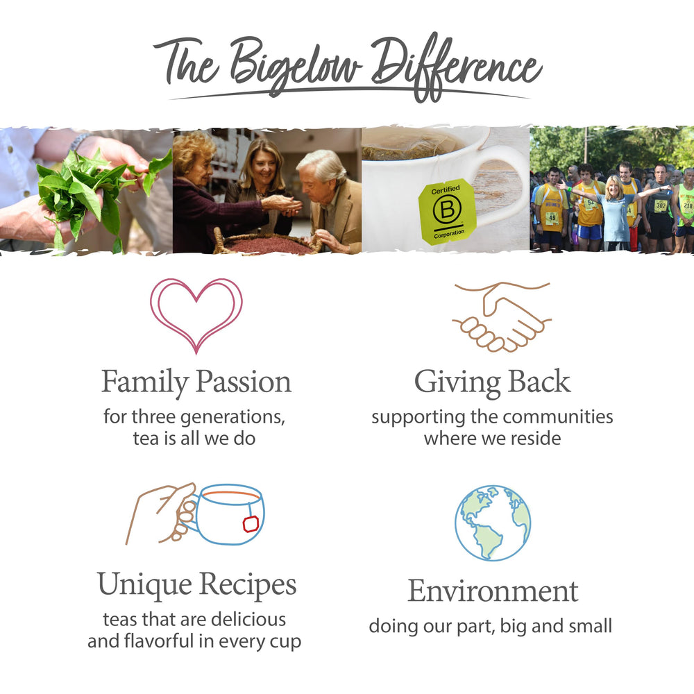 Bigelow Tea tea bag in hand showing scale and travel-ready convenience