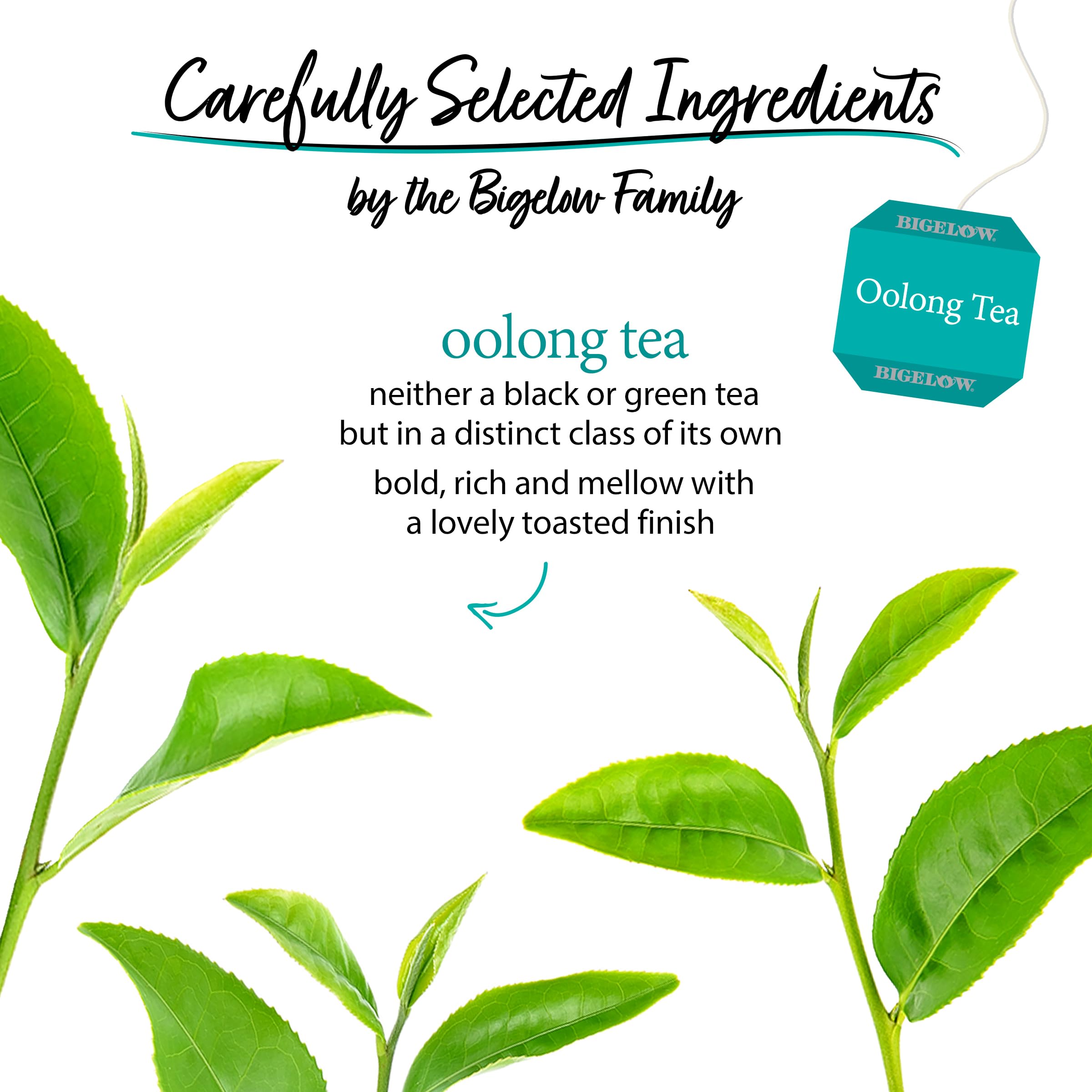 Bigelow close-up of tea bag and tag revealing leaf texture and quality