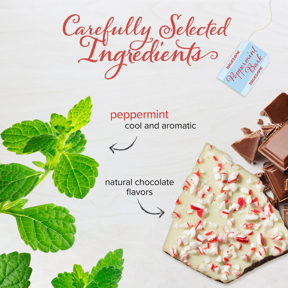 Bigelow peppermint bark brewed cup with steam, offering comforting peppermint chocolate flavor