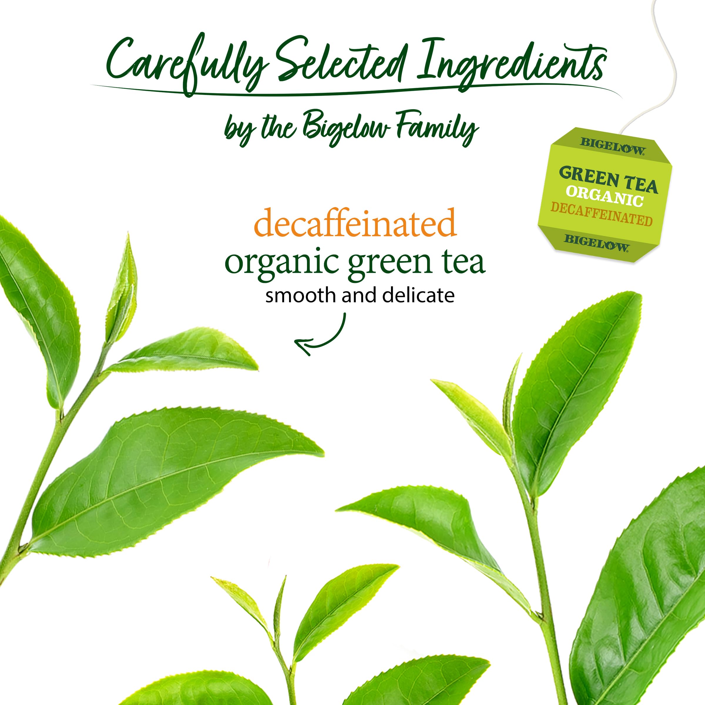 Bigelow tea bag texture detail showing fine leaf quality and consistent flavor