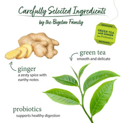 Bigelow Tea loose green leaves with sliced ginger showing natural ingredients