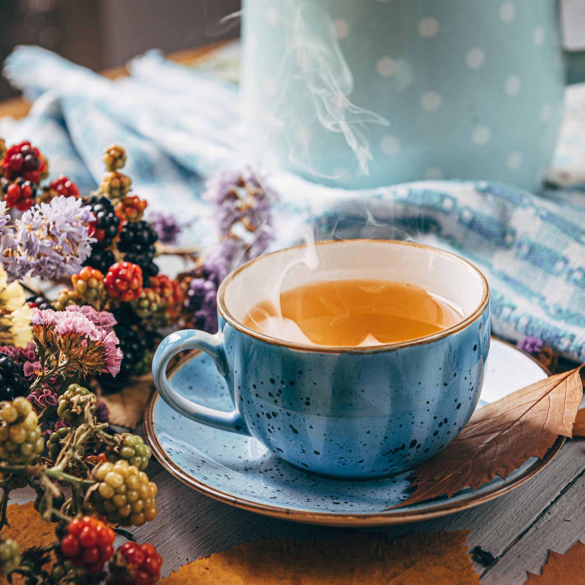 biokoma tea cup in cozy setting showing ritual use and calming moment