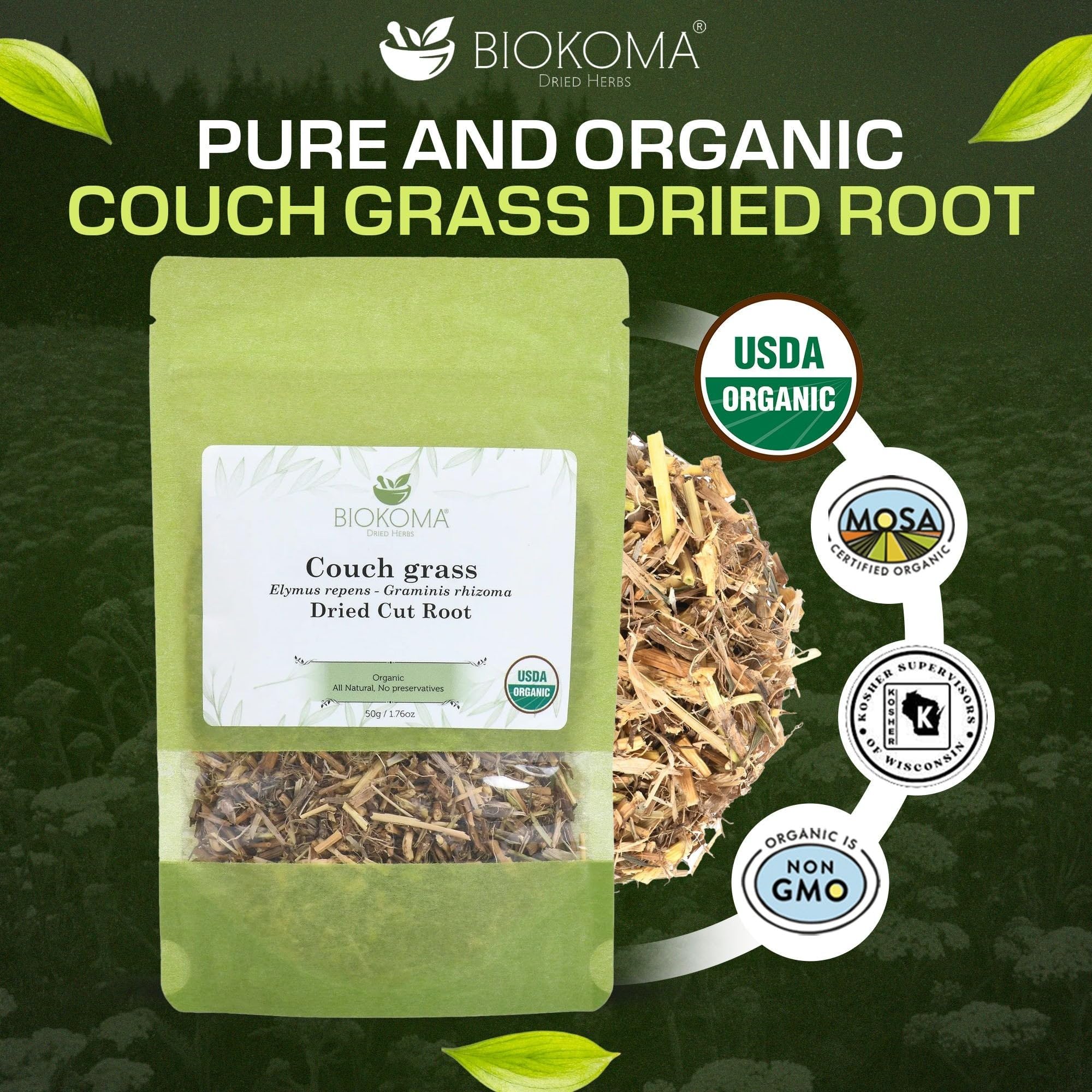 Biokoma close-up of cut Elymus repens root texture and natural color benefit