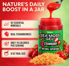 Biolore 8oz jar next to fruit to show true small trial size portability