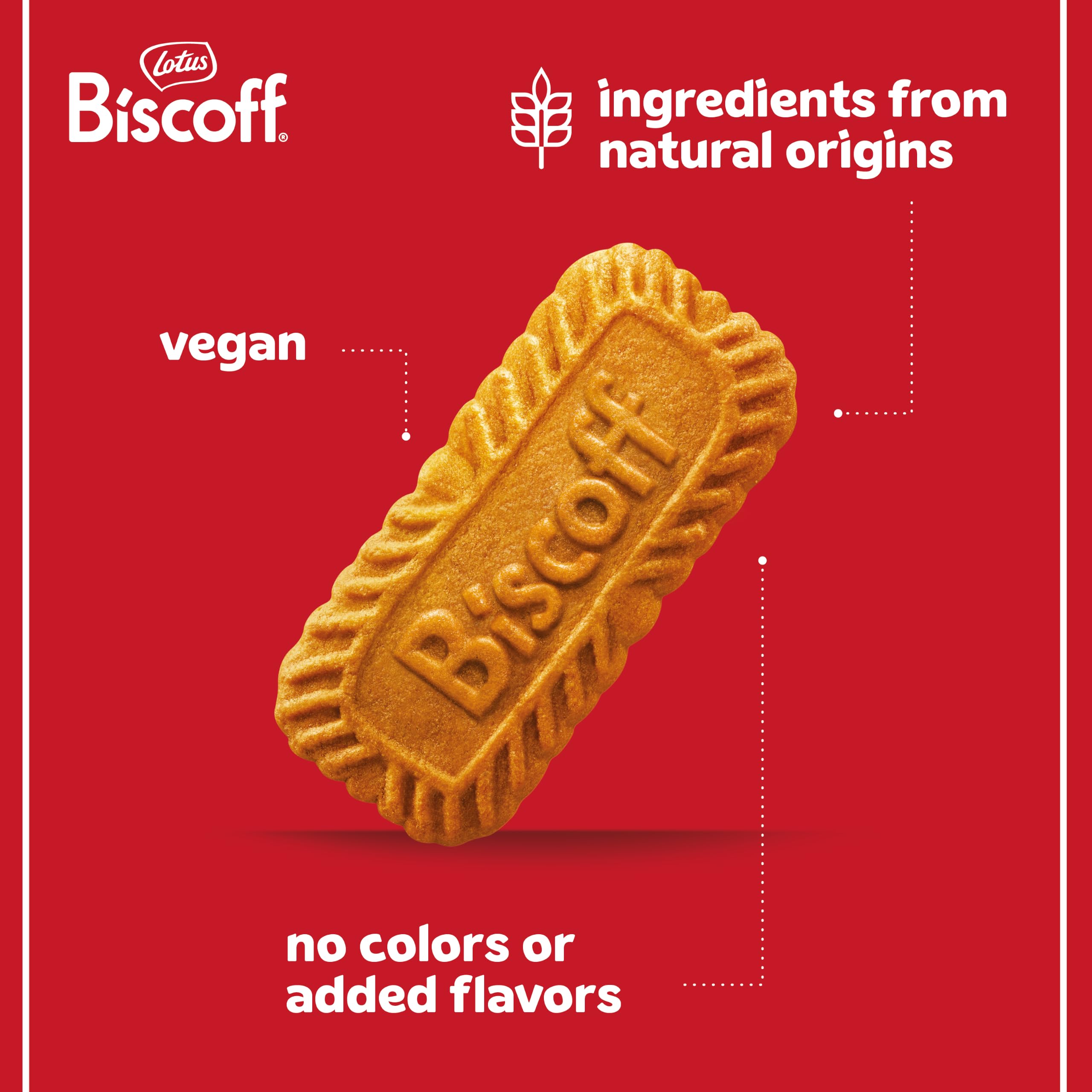 Biscoff biscuit texture close shot showing crunchy caramelised bite