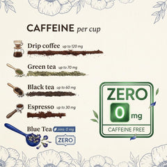 BLUE TEA brewed cup top view with vivid blue color and antioxidant benefit