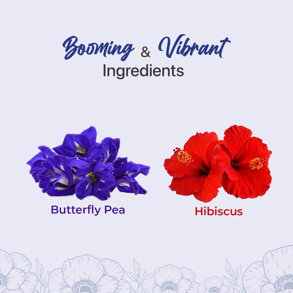 BLUE TEA butterfly pea close-up petals highlighting vibrant color and purity
