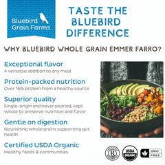 Bluebird emmer kernels closeup highlighting whole‑grain texture and flavor benefit