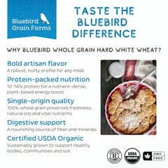 Bluebird Grain Farms wheat berries on a wooden spoon showing portion size
