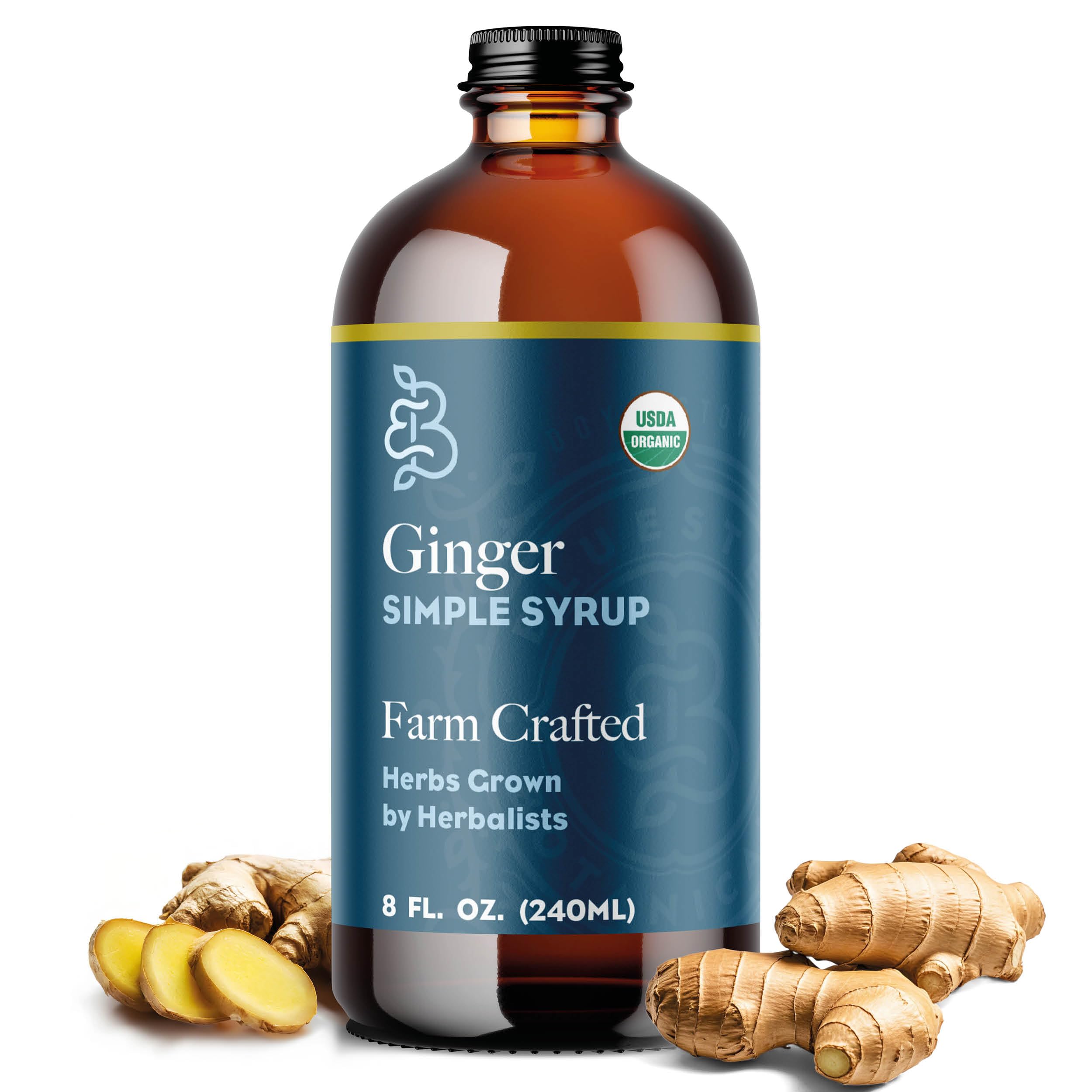 Bluestem Botanicals front label close-up shows organic ginger syrup benefits
