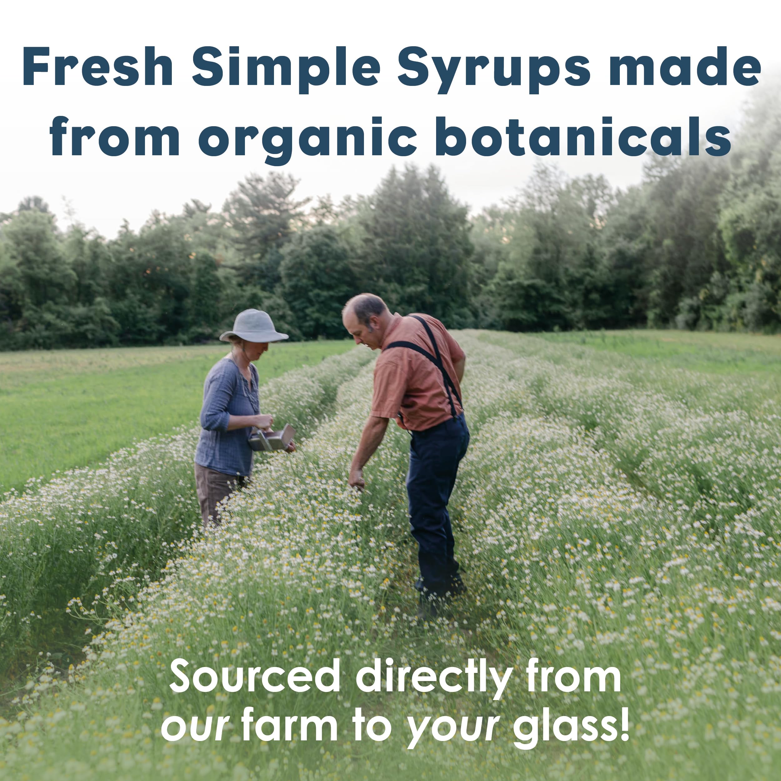 Bluestem Botanicals syrup in cocktail glass adds warm spice and balanced sweetness
