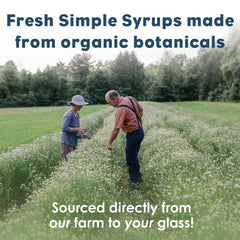 Bluestem Botanicals syrup in cocktail glass adds warm spice and balanced sweetness