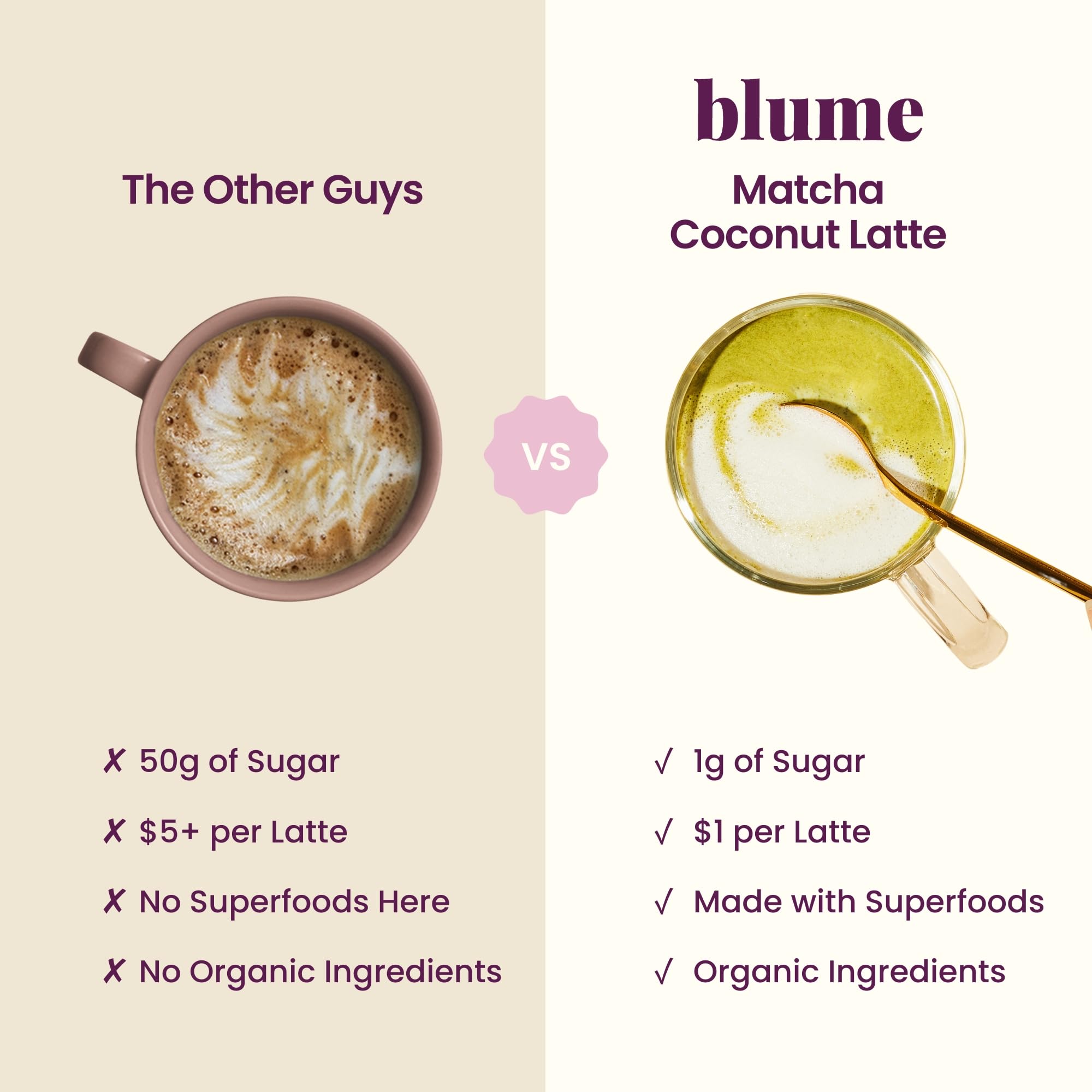 Blume ingredient bowl with moringa and coconut showing antioxidant-rich blend benefit