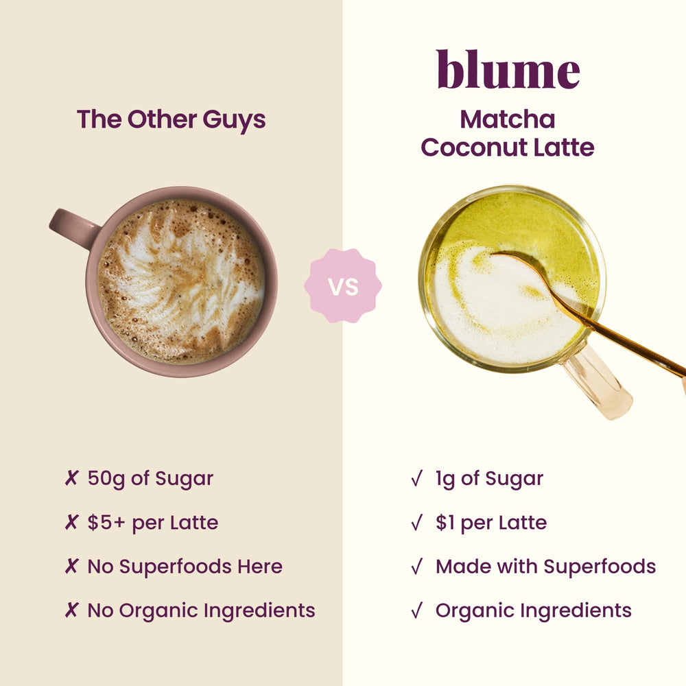 Blume ingredient bowl with moringa and coconut showing antioxidant-rich blend benefit