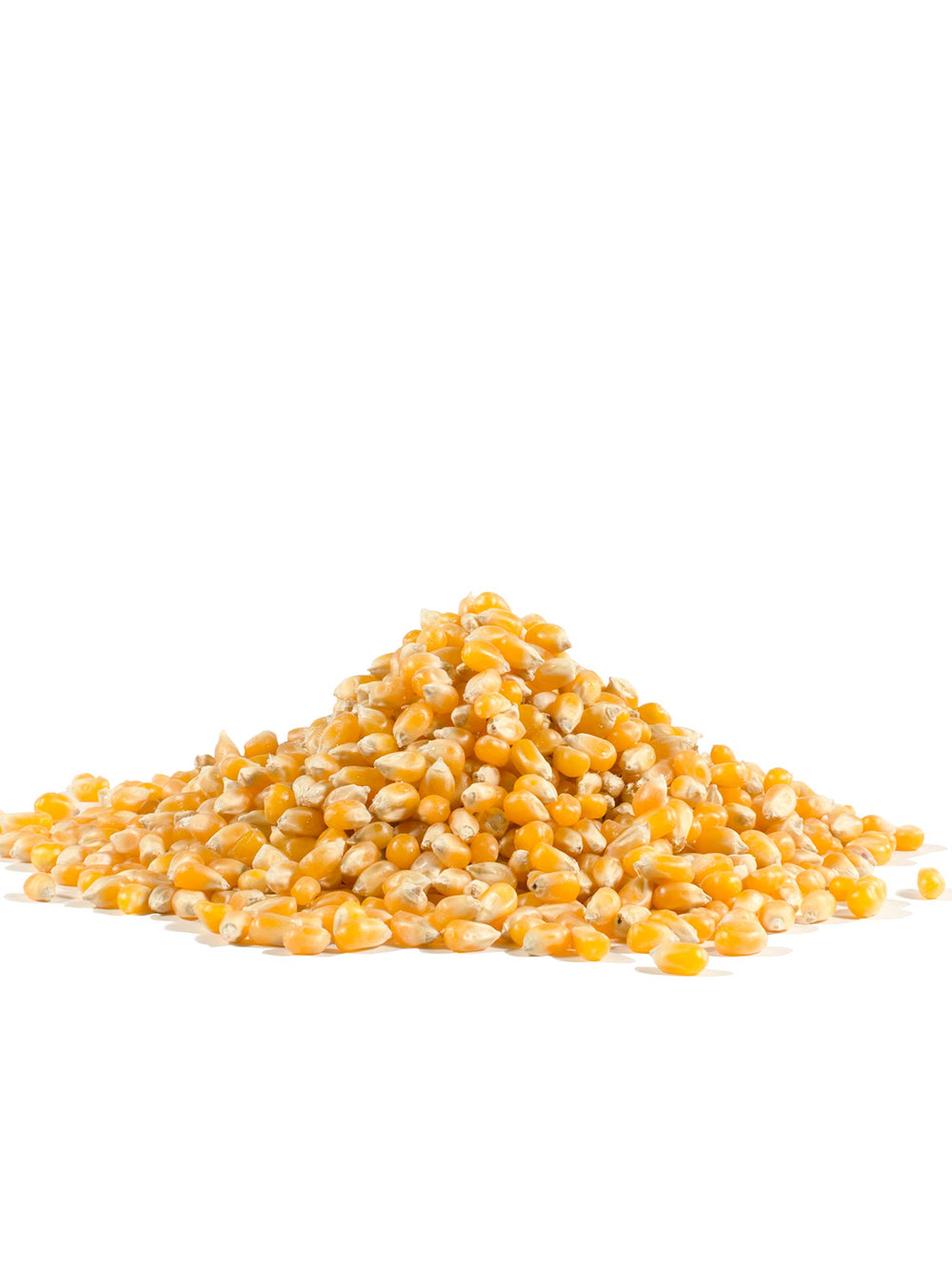 Bob's Red Mill measuring cup with kernels showing portion control