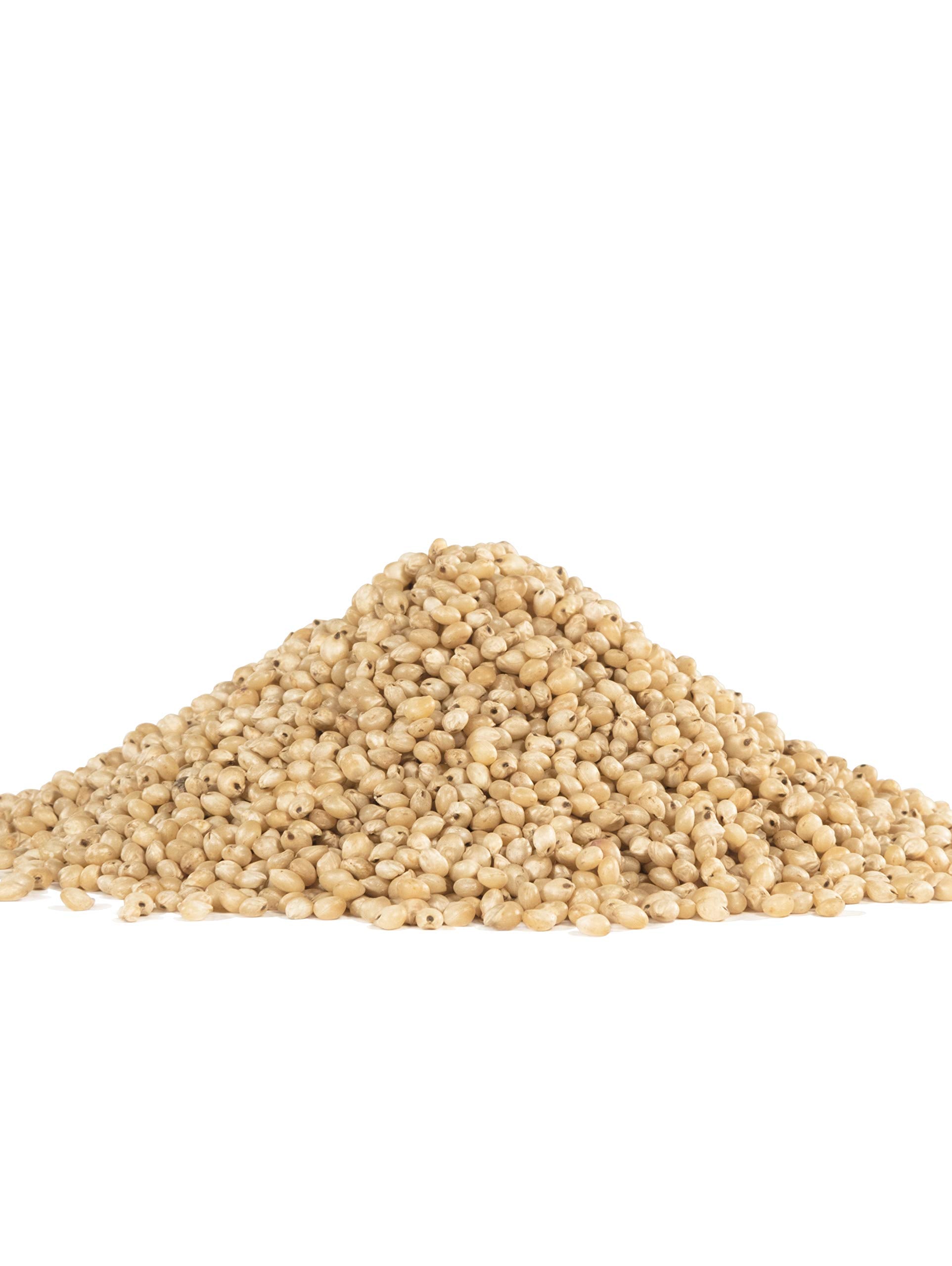 Bob's Red Mill close-up of sorghum kernels showing texture and uniform size for quality