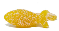 BonBon gummy fish held in hand demonstrating size and shareable portion