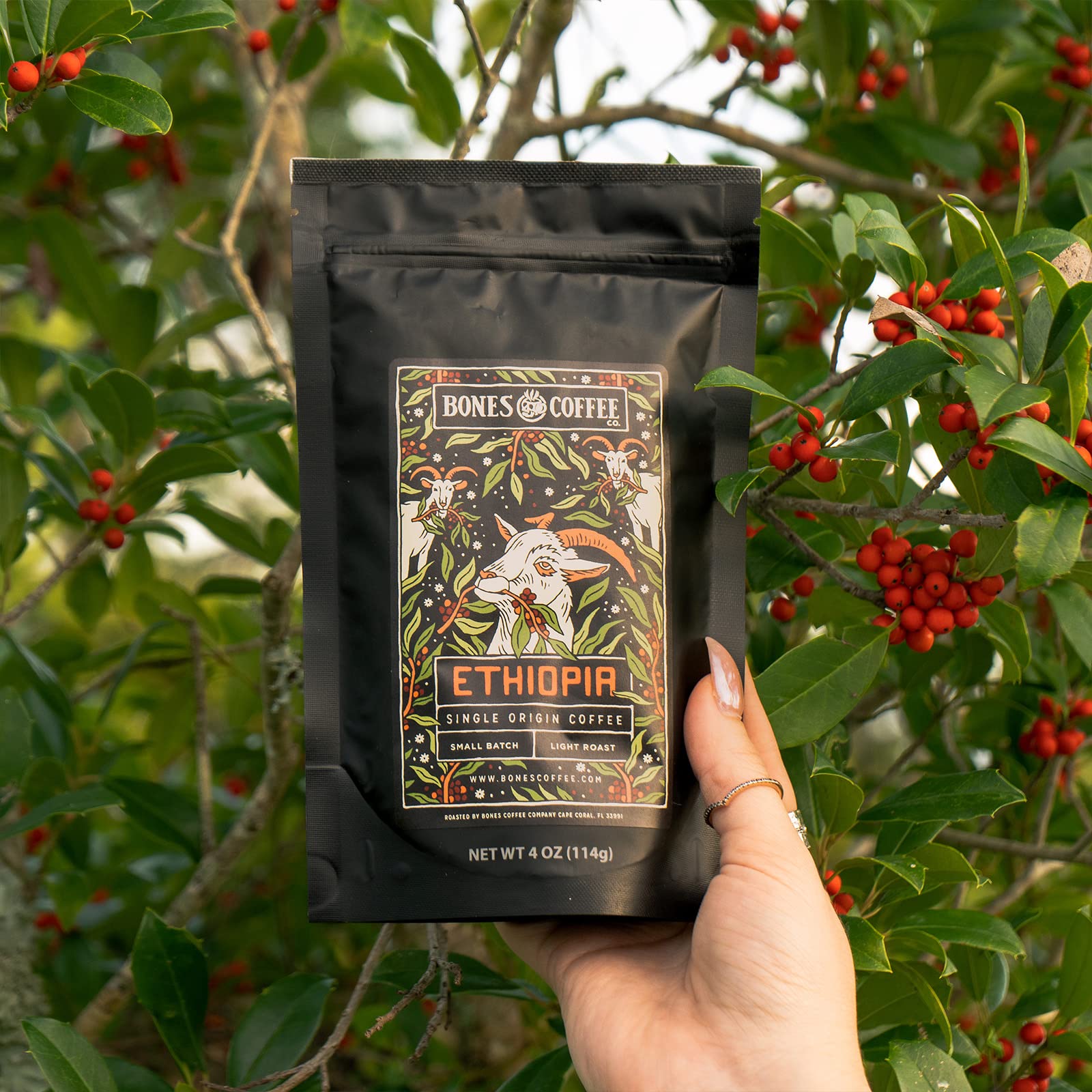 Bones Coffee Company Colombia grounds in French press illustrating balanced caramel flavor