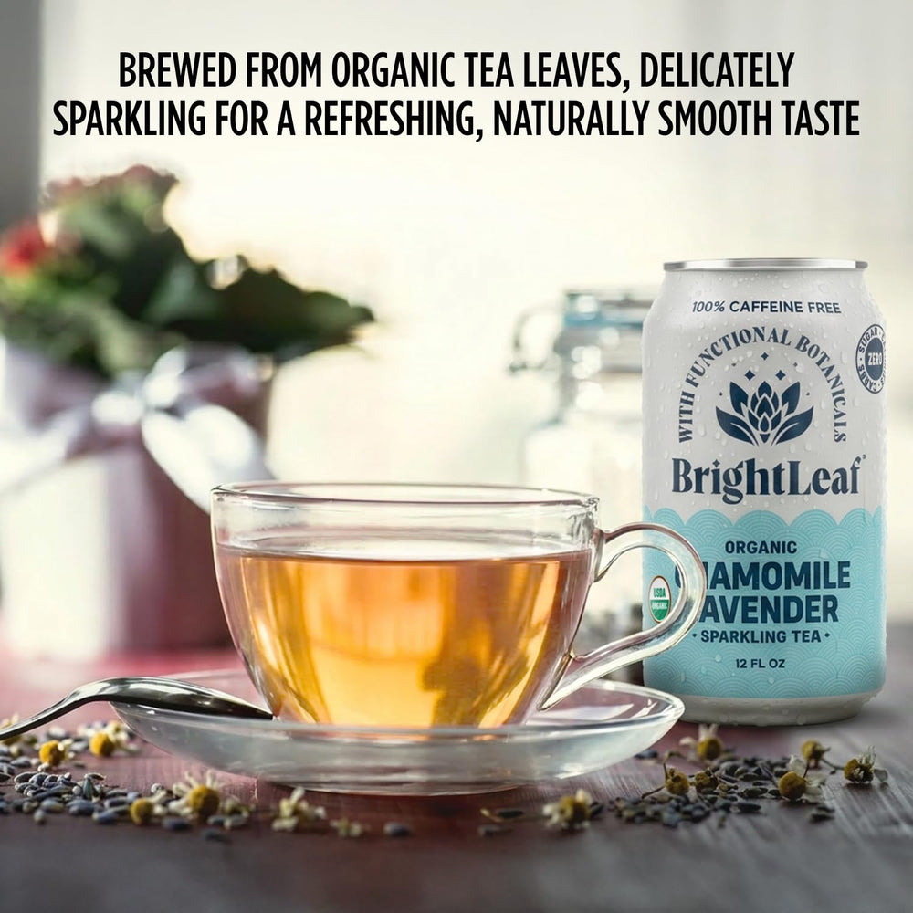 Hand holding BrightLeaf 12 fl oz can to show scale and single-serve portability for on-the-go refreshment