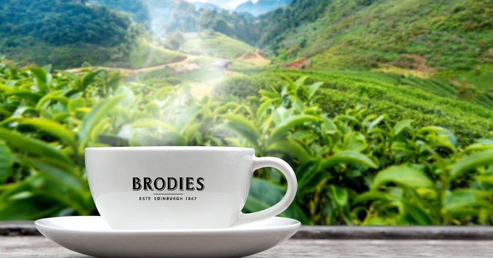 Brodies Estd 1867 tea in breakfast setting conveying everyday enjoyment