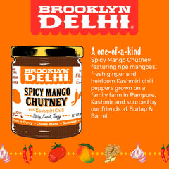 Brooklyn Delhi spoon with smooth chutney texture for easy spreading