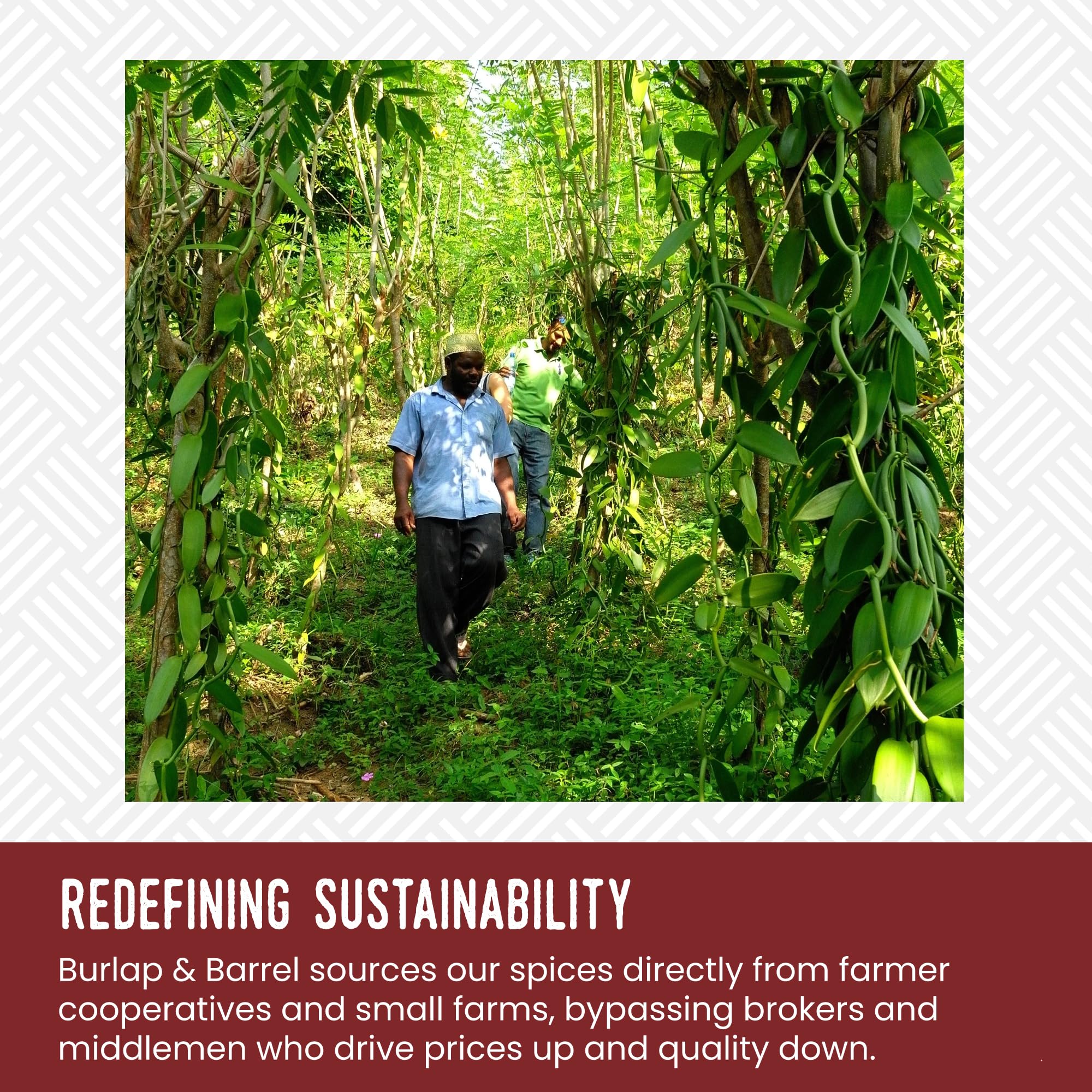 Burlap & Barrel label detail showing single-origin Zanzibar traceability and quality