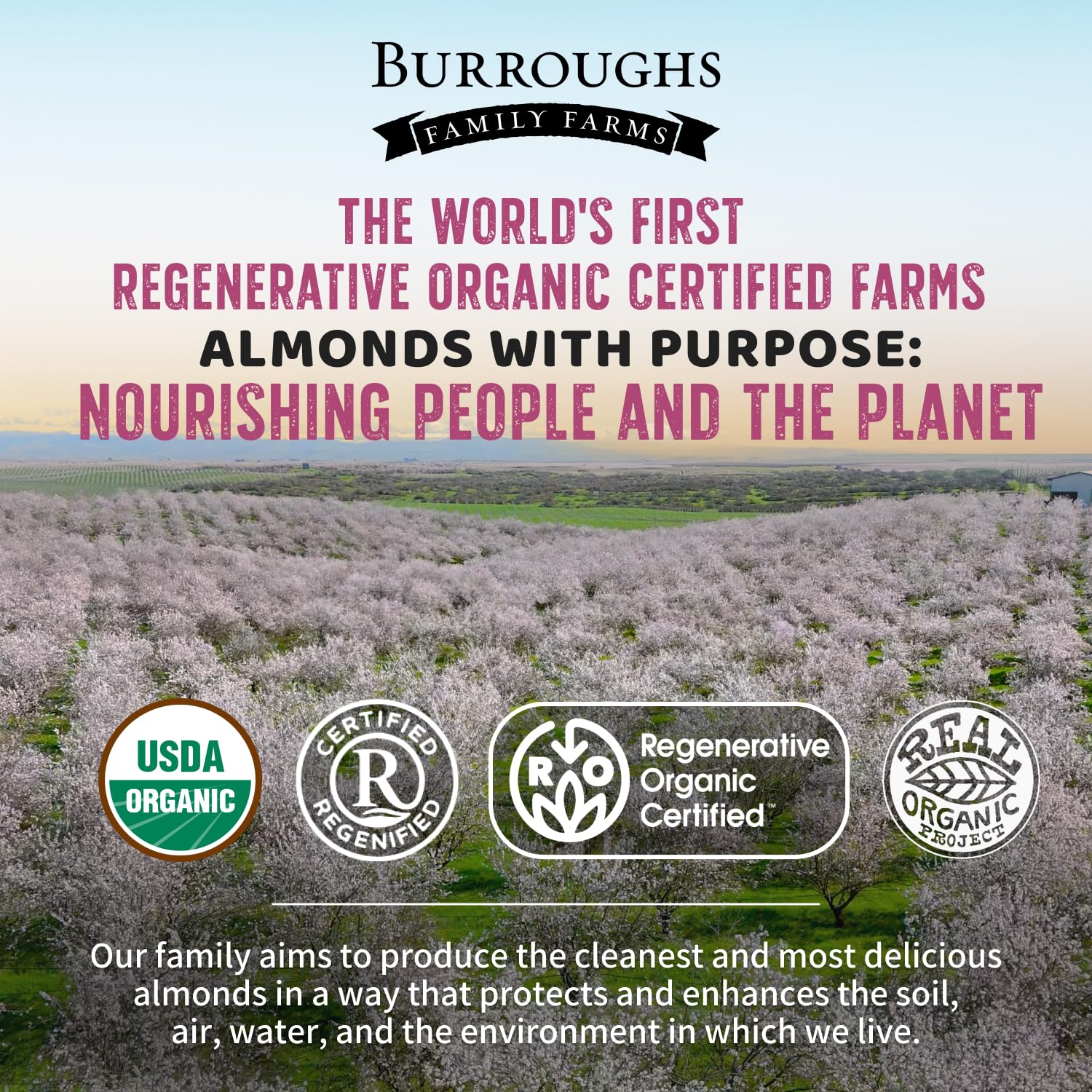 Burroughs Family Farms close-up of blanched almond texture highlighting smooth buttery bite