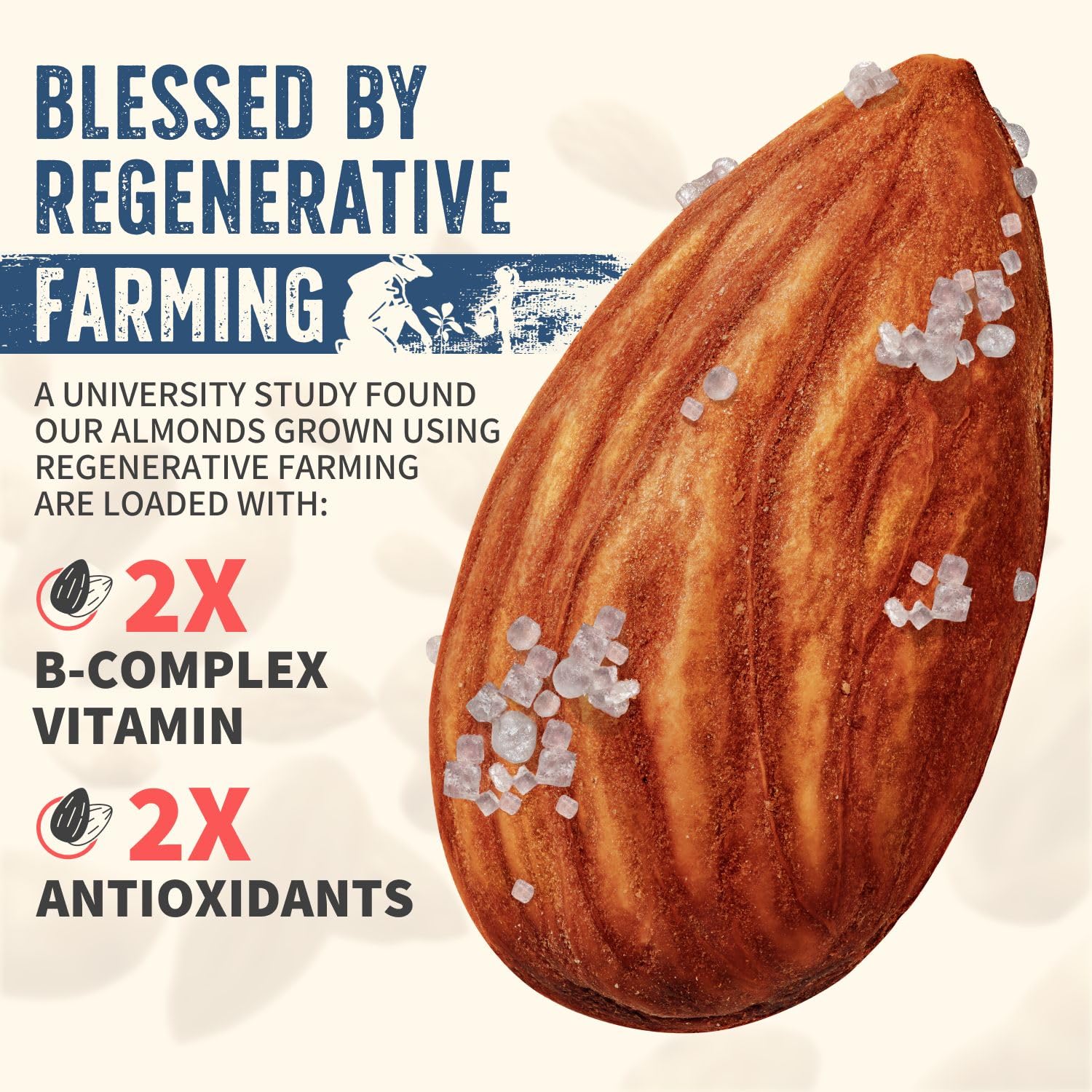 Burroughs Family Farms almonds in a bowl ready to snack showcasing versatile use and crunch