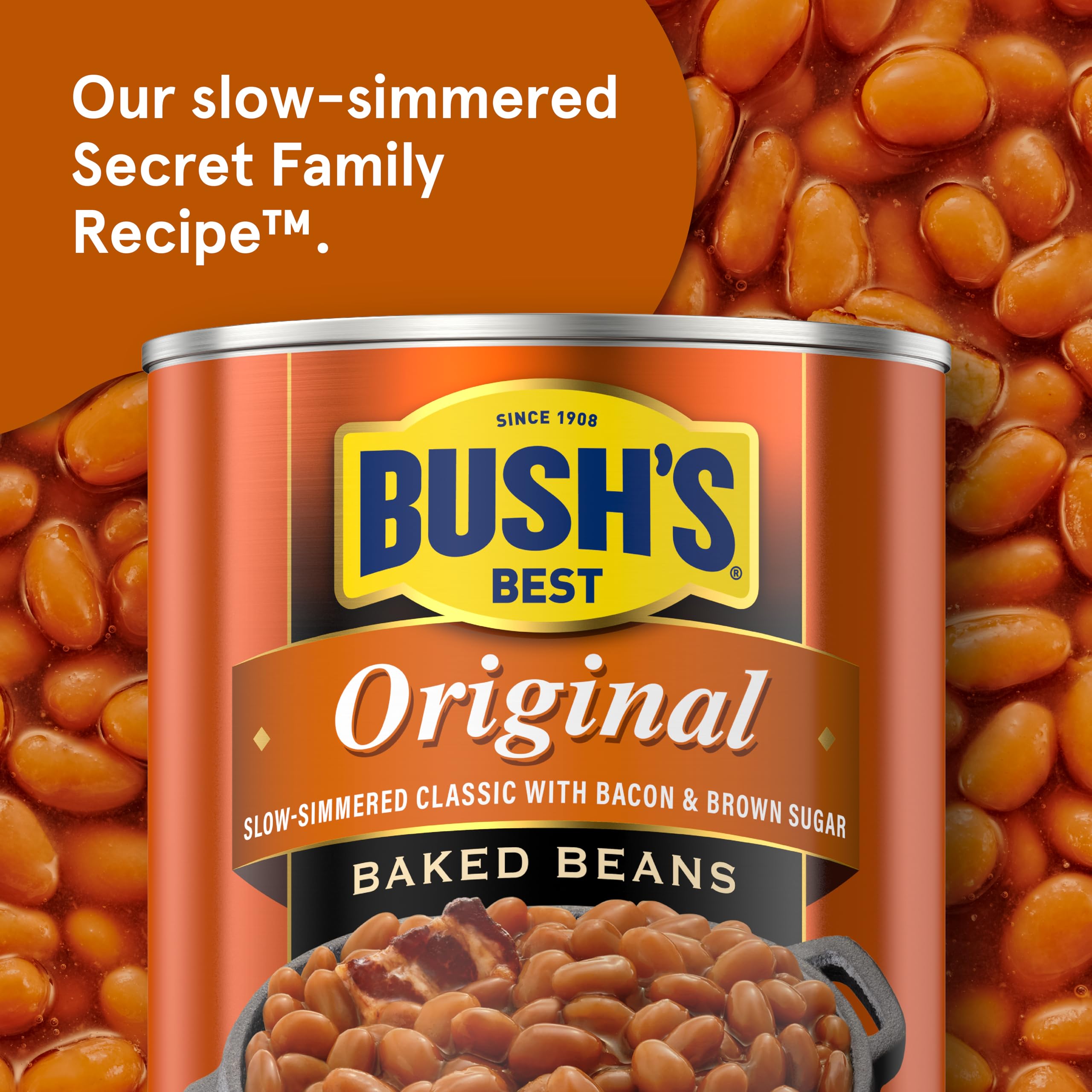 Bush's Best close-up of bean texture highlighting tender navy beans and sauce