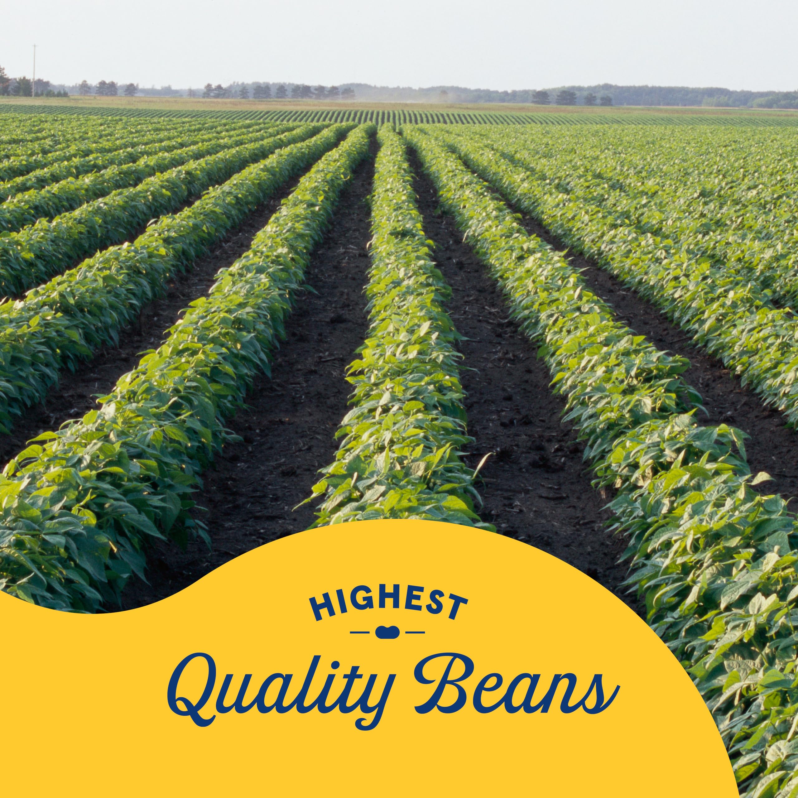 Open can of Bush's Best kidney beans revealing ready-to-use contents for recipes