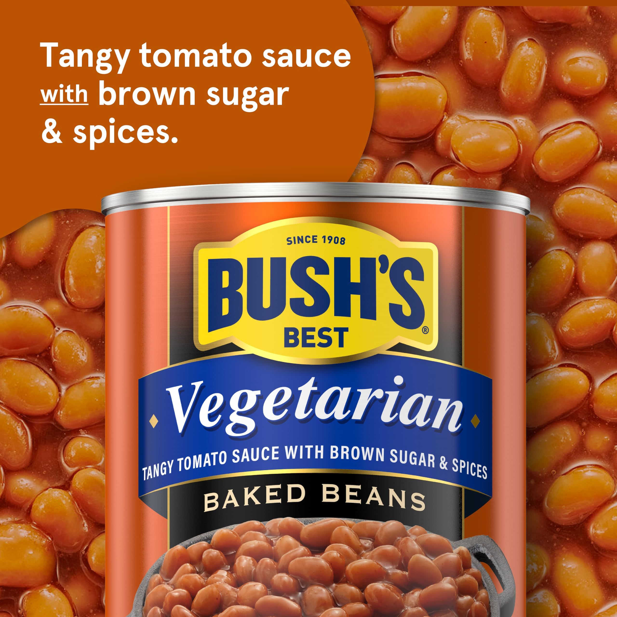 Bush's Best spoon of beans close-up highlighting texture and satisfying protein