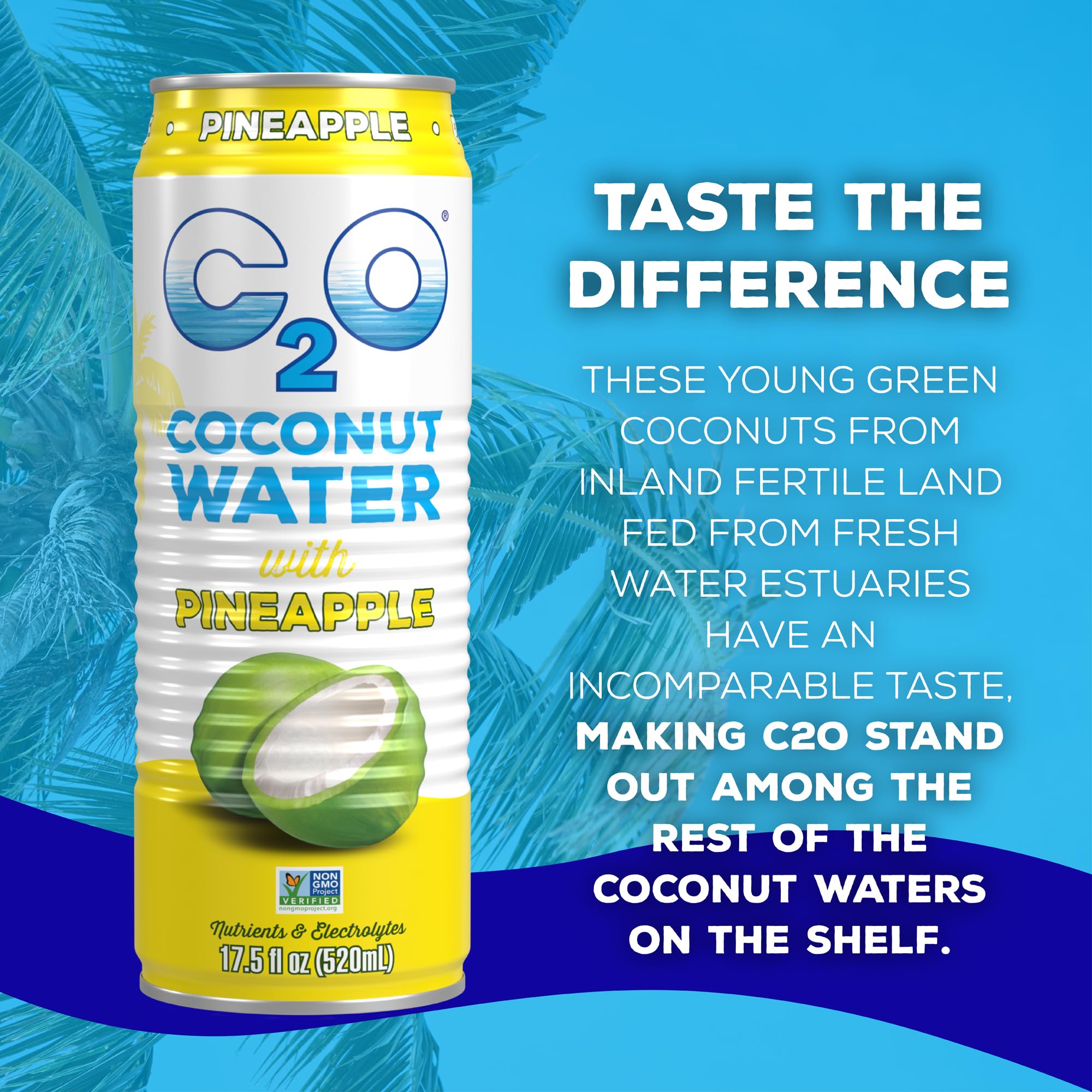 Lifestyle shot with C2O cans and pineapple slices suggesting tropical flavor and on-the-go refreshment