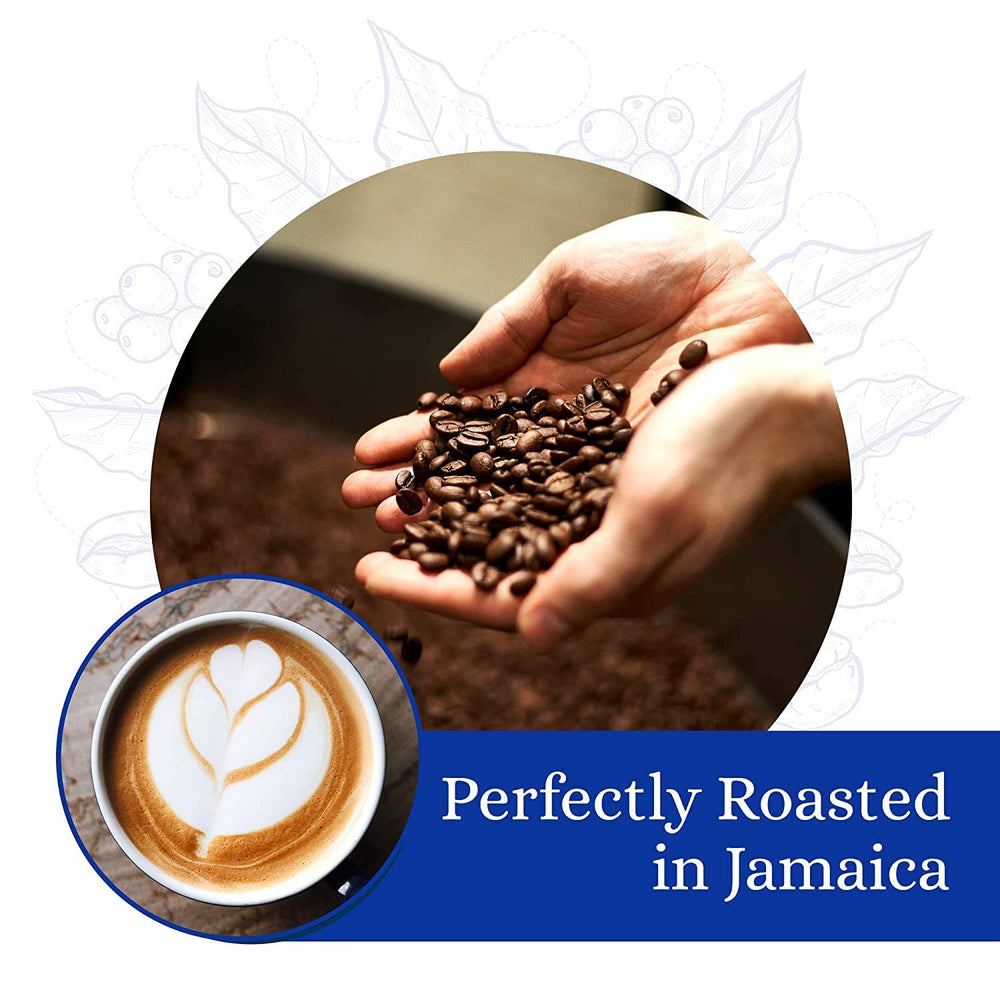 Cafe Blue French press pour showing rich body and smooth mouthfeel for leisurely brews
