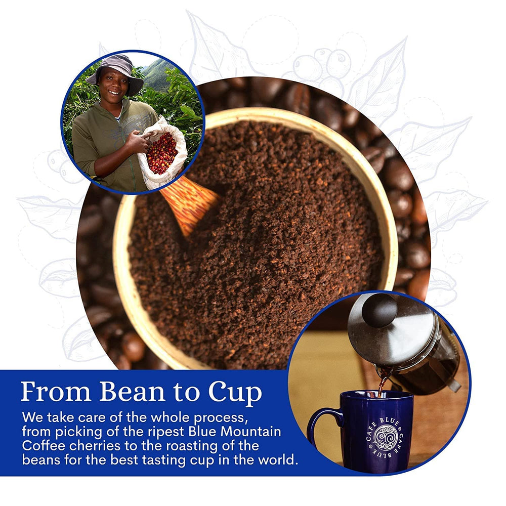 Cafe Blue 8 oz bag beside common items showing compact size and convenient storage