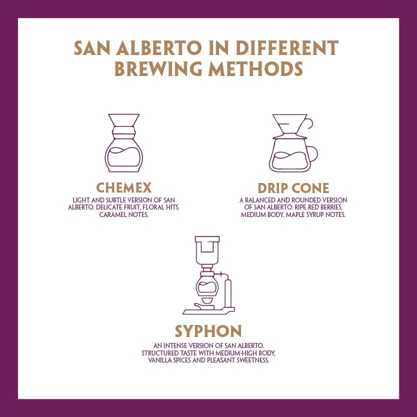 CAFÉ SAN ALBERTO gift-ready bag in a styled setting highlighting premium gifting