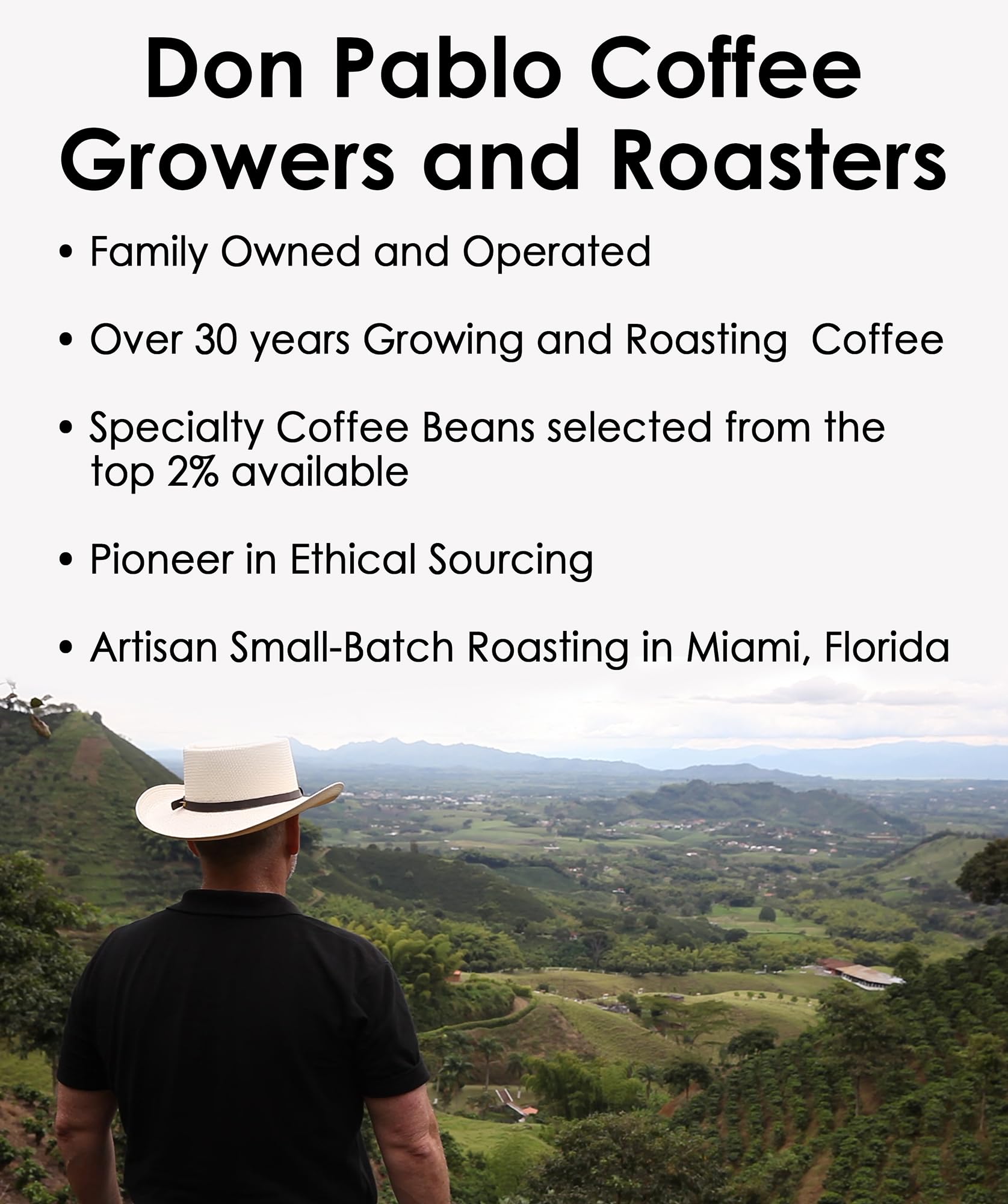 Cafe Don Pablo brewed cup from drip brewer showing low-acidity smoothness