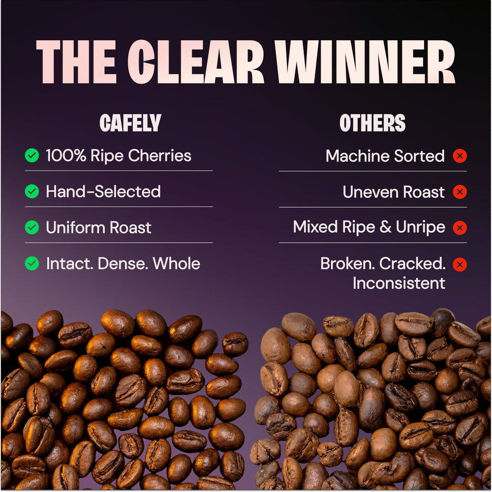 Cafely BanMe French press pour showing full-bodied extraction