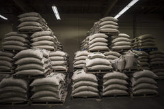 Caffe D'arte whole beans beside a 12 oz scale to show package size and serving quantity