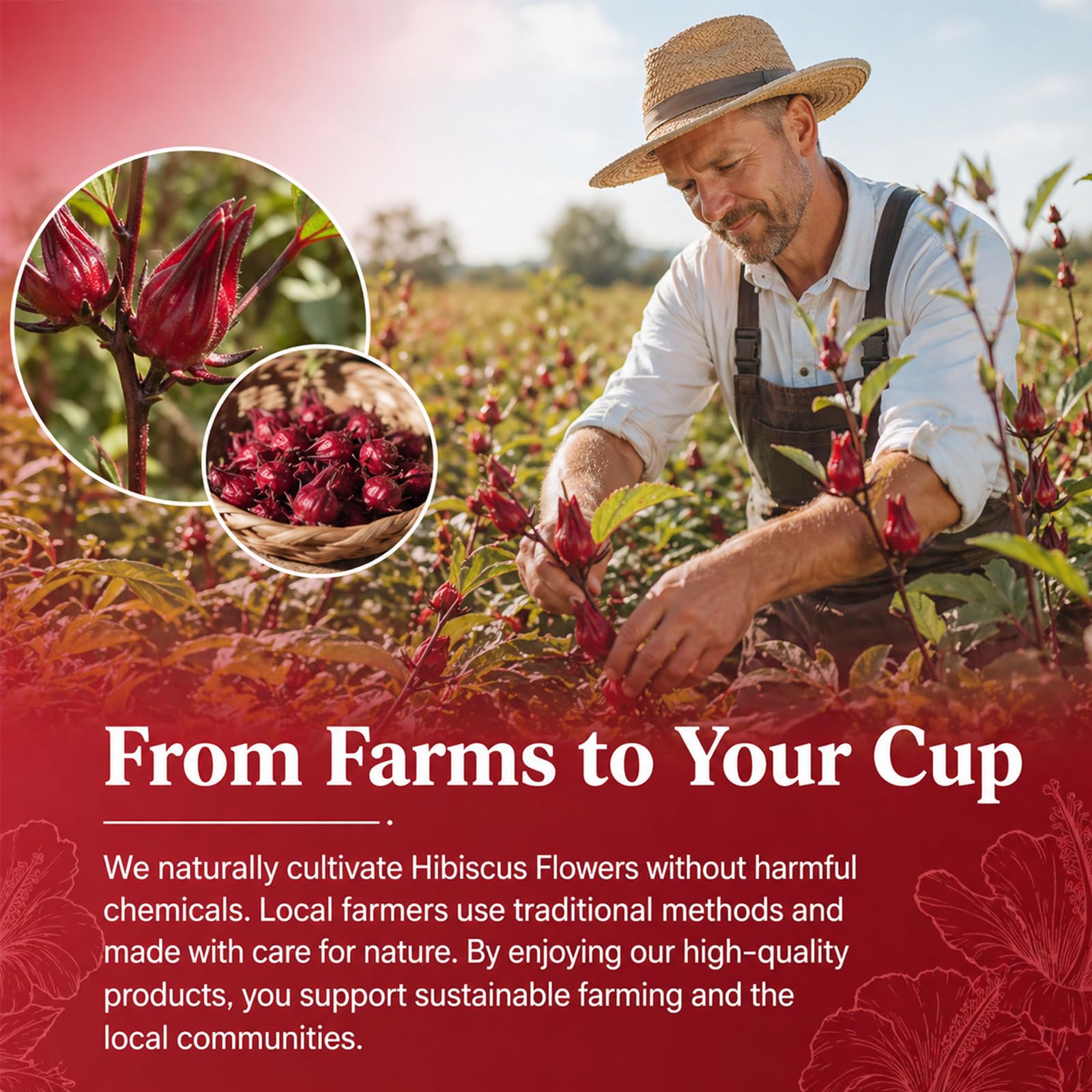 calhealing label and ingredient panel highlighting 100% hibiscus for additive-free reassurance