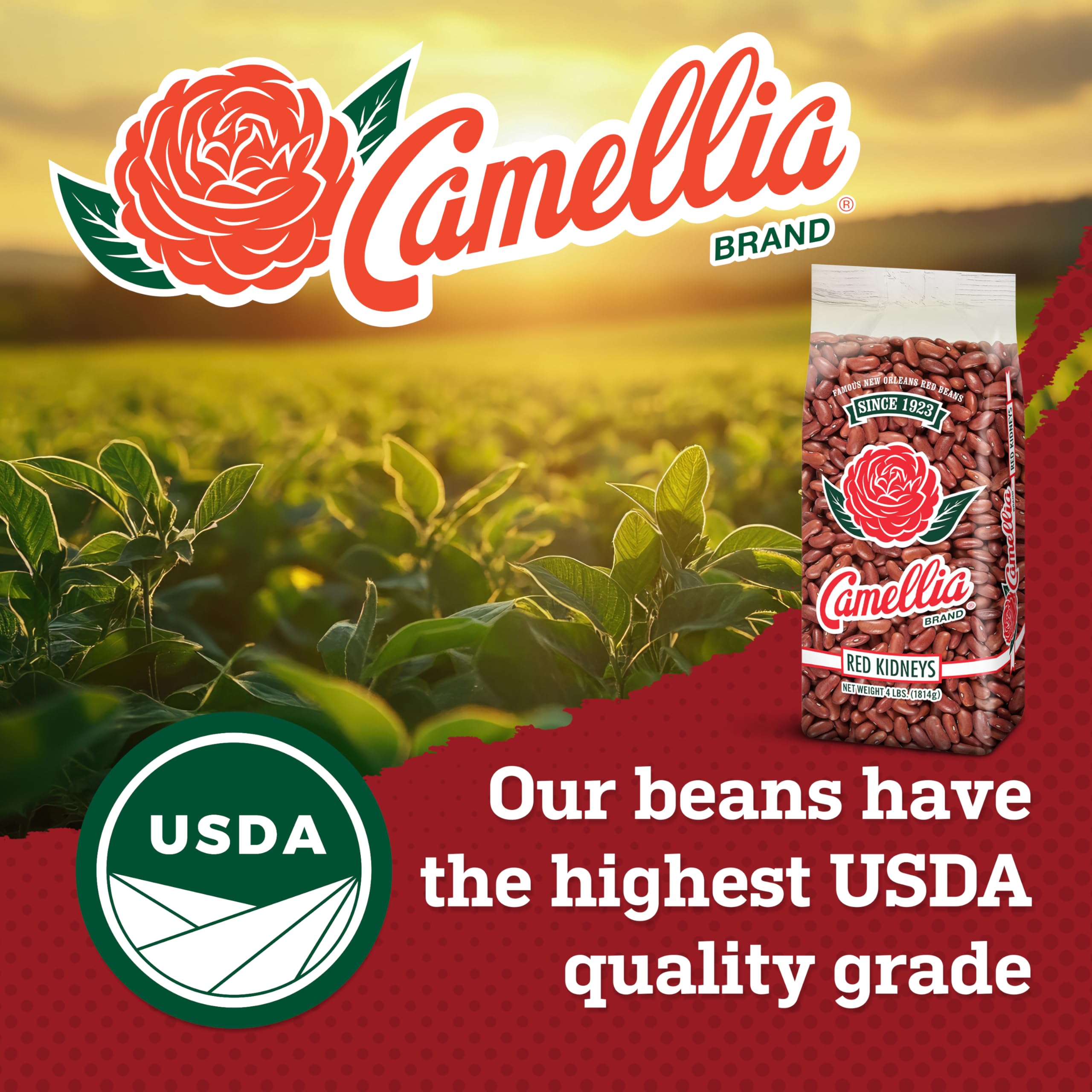 Camellia Brand measuring cup with beans showing portion control and meal prep ease