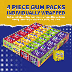 Canel’s individually wrapped gum piece showing sealed packaging for on-the-go freshness