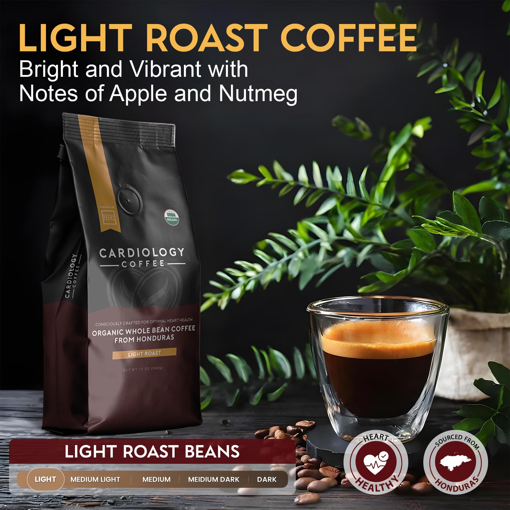 Cardiology Coffee beans in hand for scale emphasizing whole-bean freshness benefit