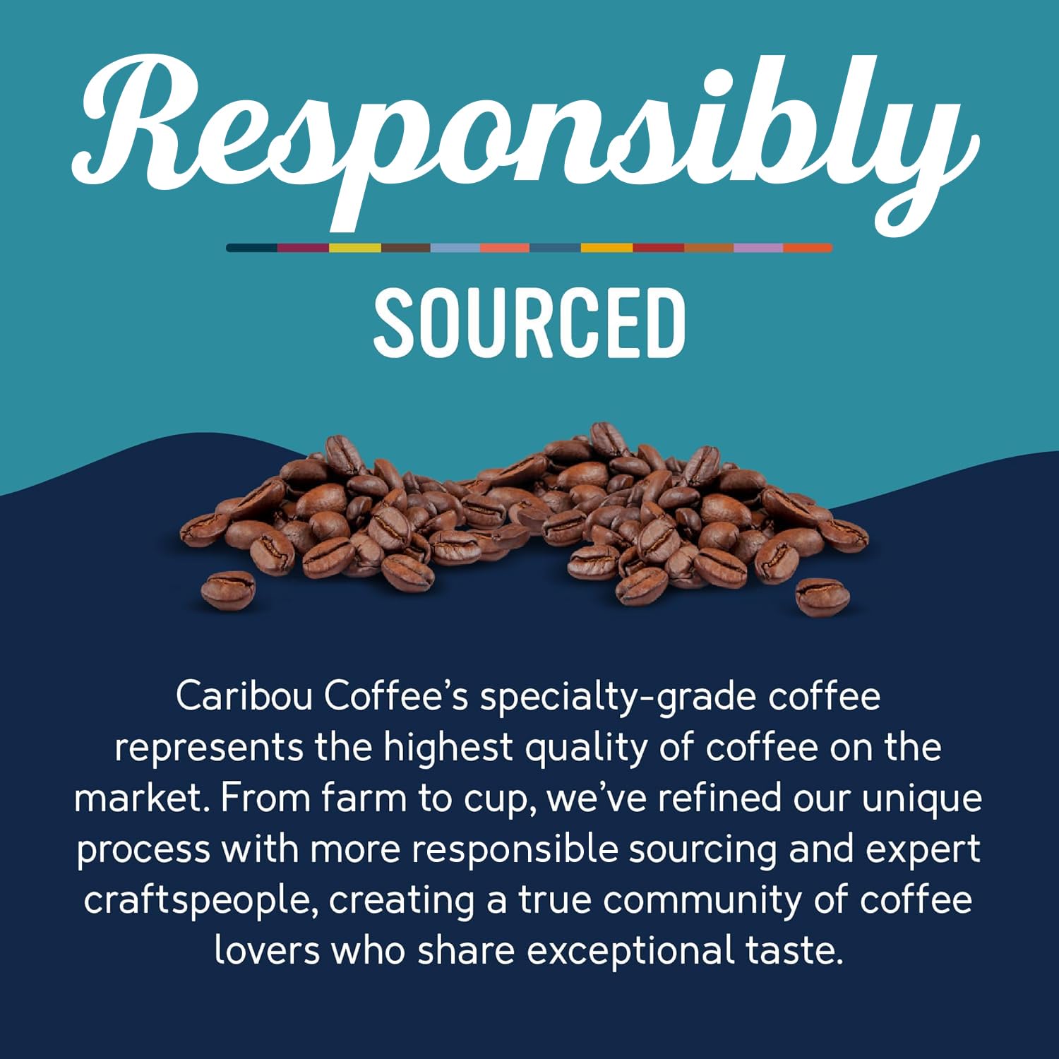 Caribou Coffee ground texture close-up showing medium grind for drip and pour-over