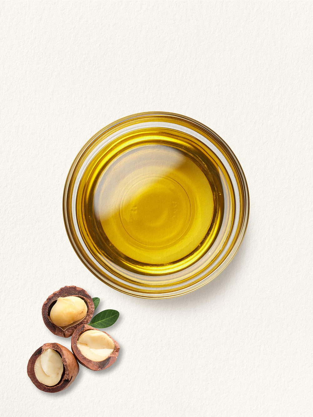 Carlyle macadamia nuts with oil bottle displaying natural ingredient source