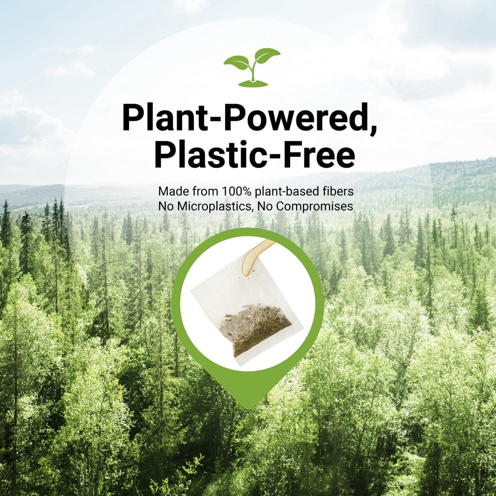 CCnature pitcher with iced mullein tea, refreshing and caffeine-free