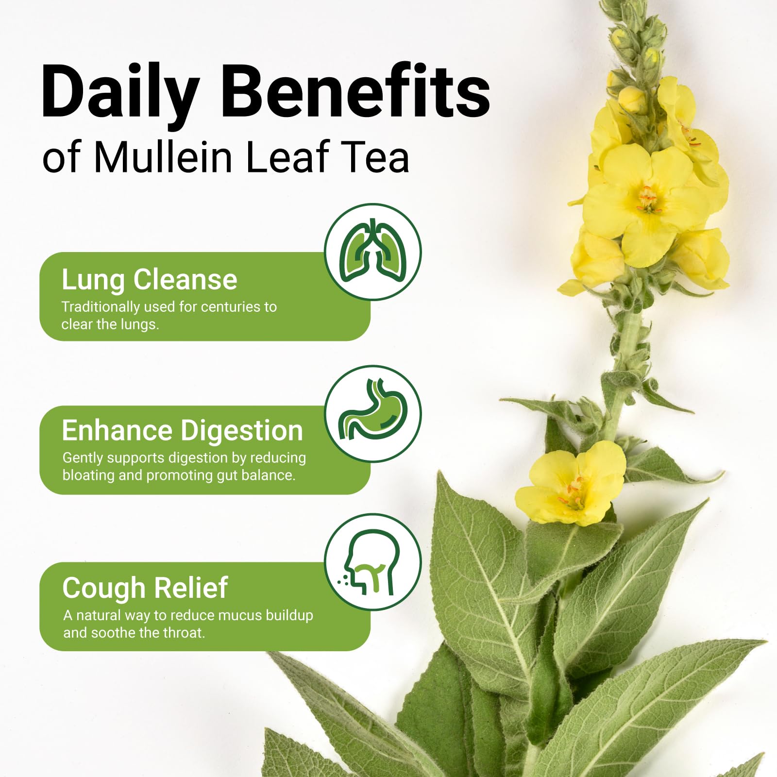 CCnature close-up of plant-based tea bag with pure mullein leaf