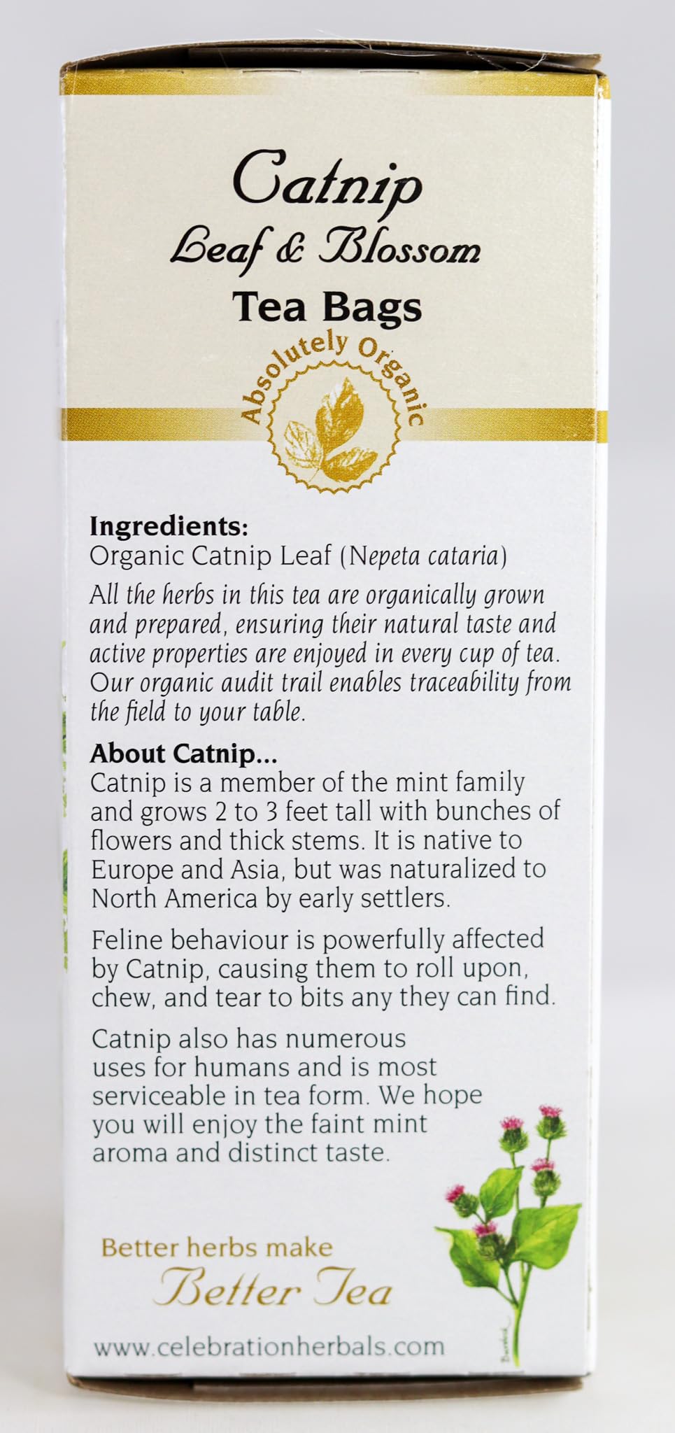 Celebration Herbals teabag beside common objects to show scale and single-serve convenience